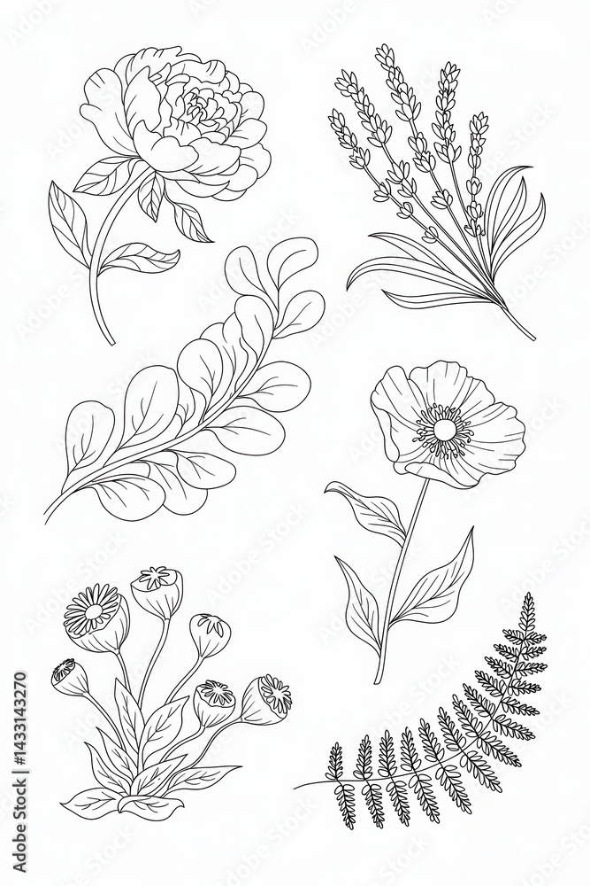 Elegant line art illustration of various botanical elements. Elegant line art illustration of various botanical elements.