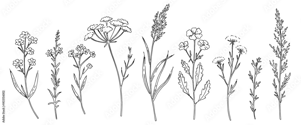 Fototapeta premium 花と草と葉の白黒の線画ベクターイラスト 一輪の花/シンプルでおしゃれな手書きのラインアート 