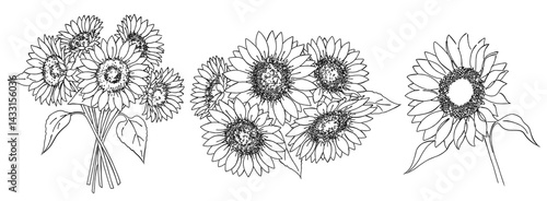 ひまわりの花の白黒の線画ベクターイラスト 花束/ブーケ/一輪の花/シンプルでおしゃれな手書きのラインアート	