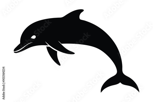 Dolphin Silhouette