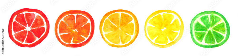Set of watercolor round citrus slices. Summer watercolor decor element.