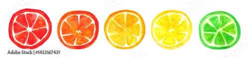 Obraz na płótnie Set of watercolor round citrus slices. Summer watercolor decor element. w salonie