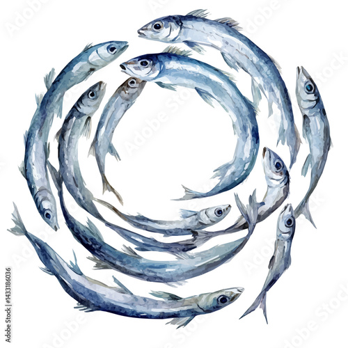 watercolor of School Of Sardines Forming A Spiral, vector, isolated on a white background.