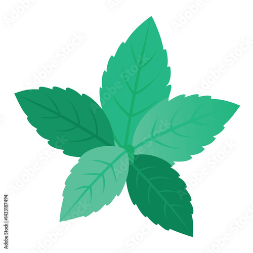 fresh mint leaves