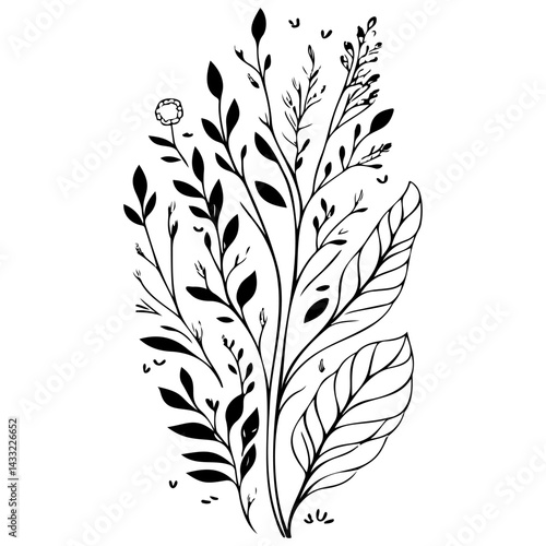 Elegant monochrome foliage illustration displaying varied leaf shapes in dynamic arrangement