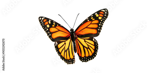 Monarch Butterfly. Symbol Of Transformation And Beauty In Nature Isolated On Transparent Background