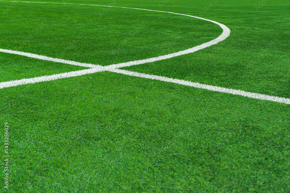 Fototapeta premium green grass on the soccer arena - line in soccer stadium.