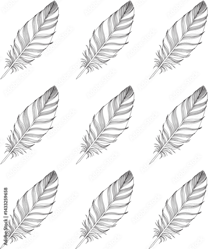 Vector illustration feathers seamless pattern of a silhouette line art. Vector illustration feathers seamless pattern of a silhouette line art.