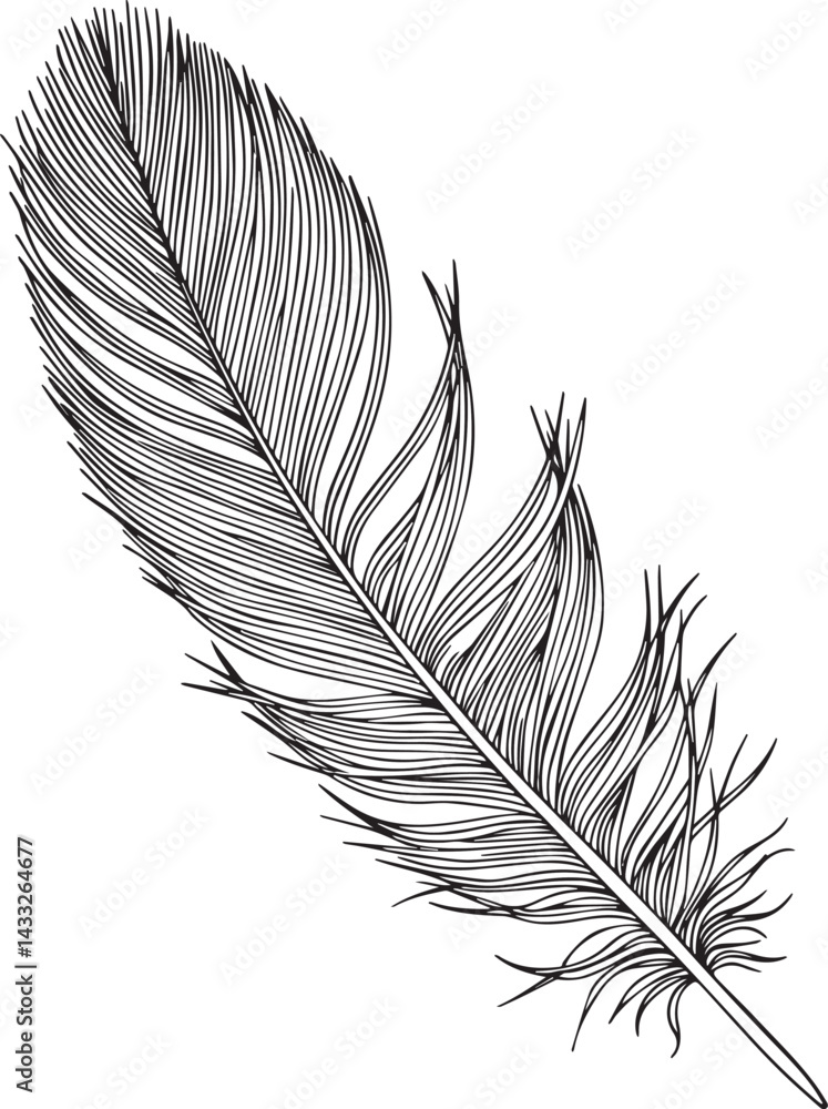 Obraz premium Abstract geometric vector feather isolated on white. 