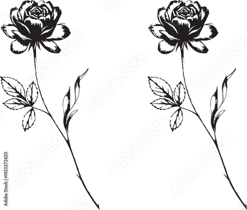 Vector illustration silhouette rose flowers isolate on white background. 