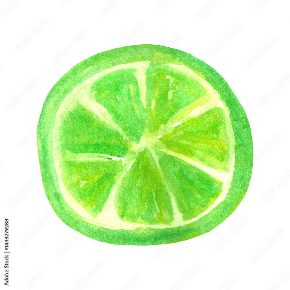 Watercolor lime circle isolated on white background. Summer fruit decor element..