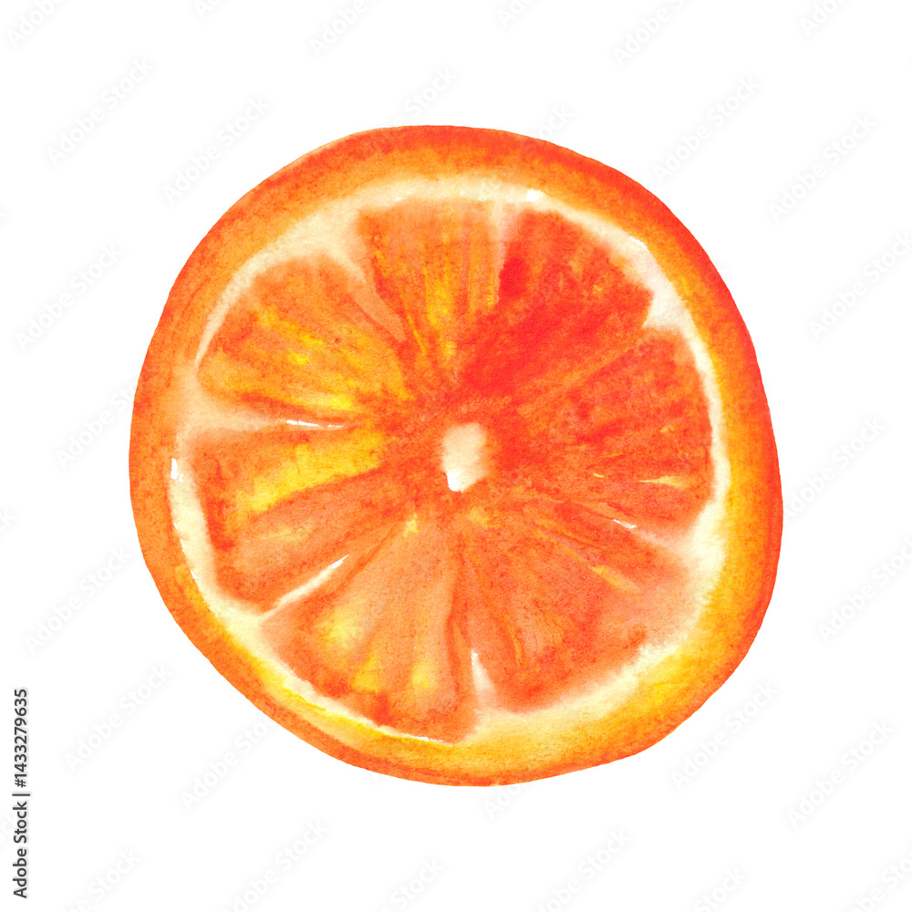 Watercolor orange circle isolated on white background. Summer fruit design element.