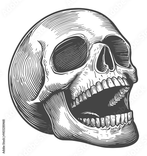 Vintage Engraving of Skull in Classic Woodcut Style