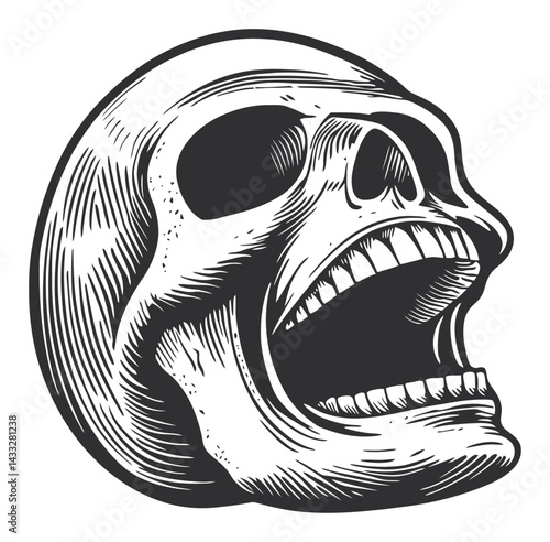 Detailed Black and White Skull Illustration in Engraving Style