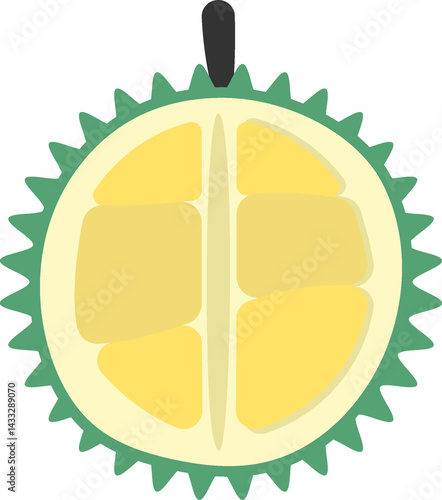 Simple durian fruit illustration
