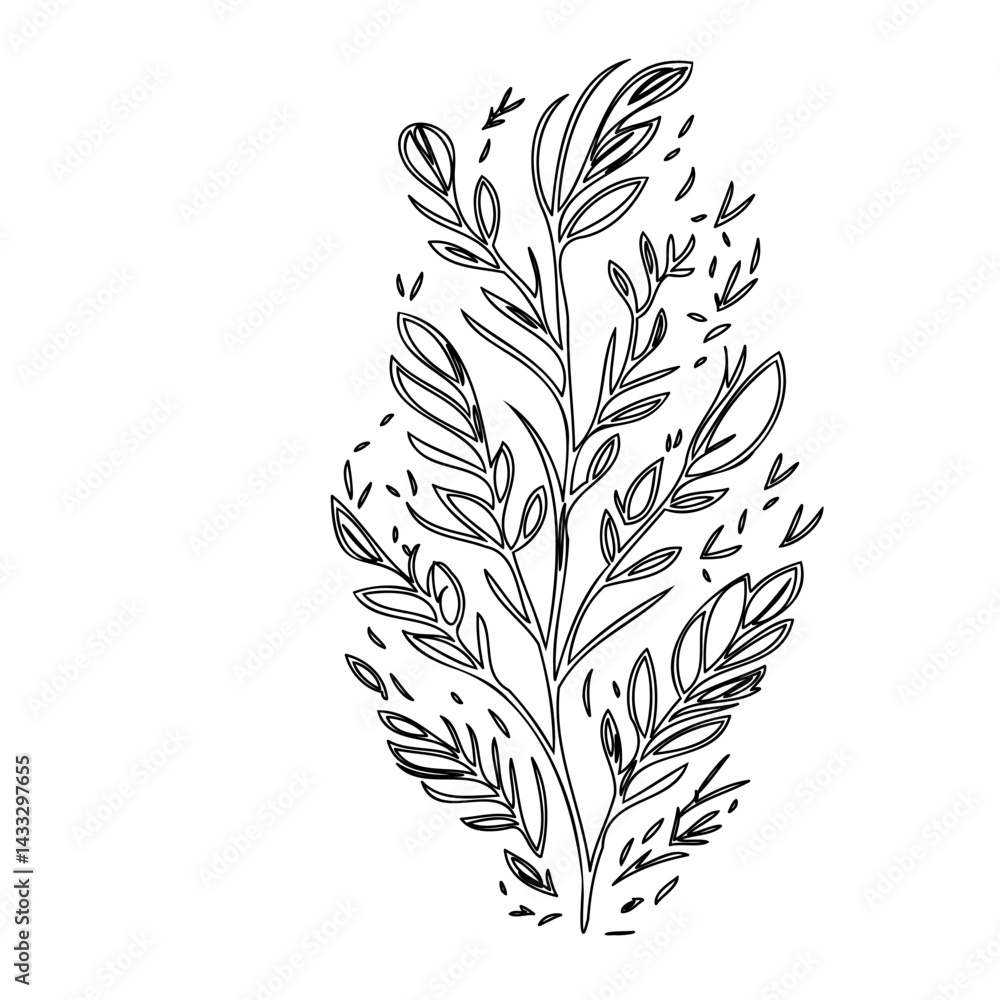 Fototapeta premium Delicate botanical sketch showcasing stylized leaves and branching stems on white