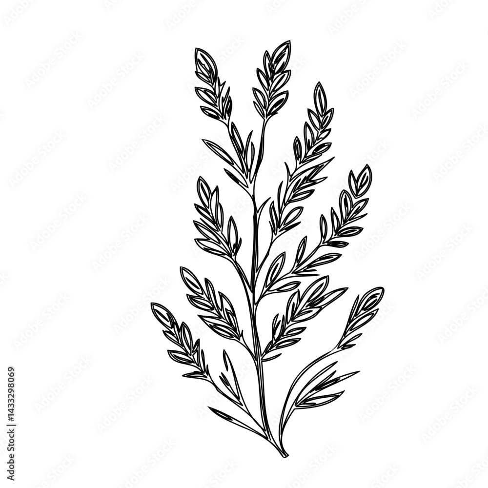 Fototapeta premium Elegant botanical sprig illustration in minimalist monochrome style for decoration