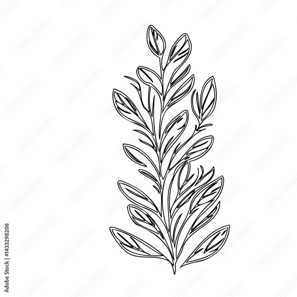Obraz premium Delicate botanical contour drawing of branching stem with elongated leaves