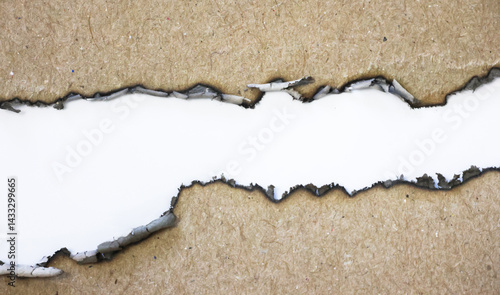 Wallpaper Mural Silhouette burnt paper texture shape white paper texture shape torn paper texture shape Torontodigital.ca