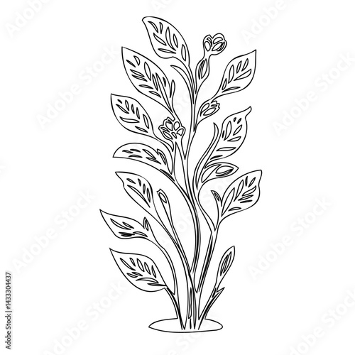 Minimalist botanical illustration: stylized leaves and floral contours in linear design