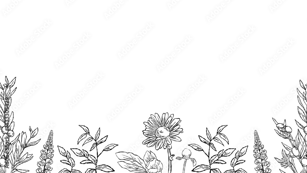 Obraz premium Flower Line Art Wallpaper Banner Frame Black Color. Best for wedding, event banner.