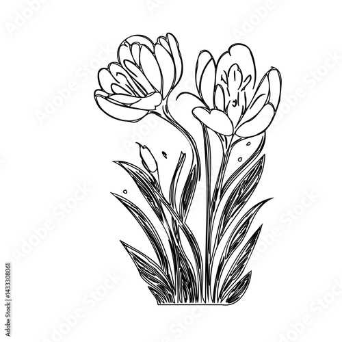 Minimalist floral illustration portraying spring's essence in monochrome elegance
