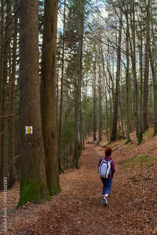 Fototapeta premium Female hiker walking along forest path with backpack