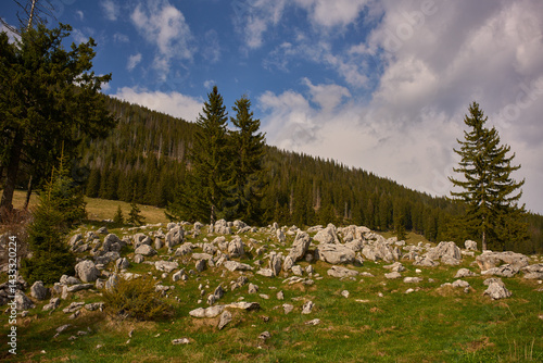 Obraz na płótnie Rocky alpine meadow with forest and distant hills w salonie