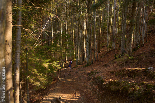 Female hiker walking along forest path with backpack