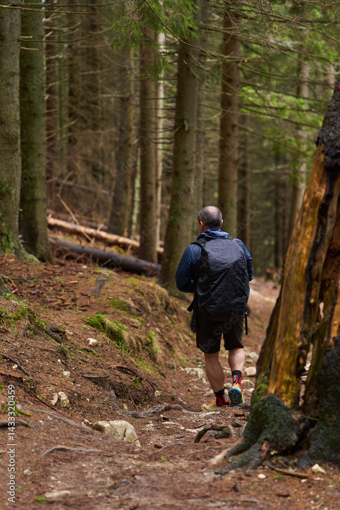 Man descending a forest trail in hiking gear