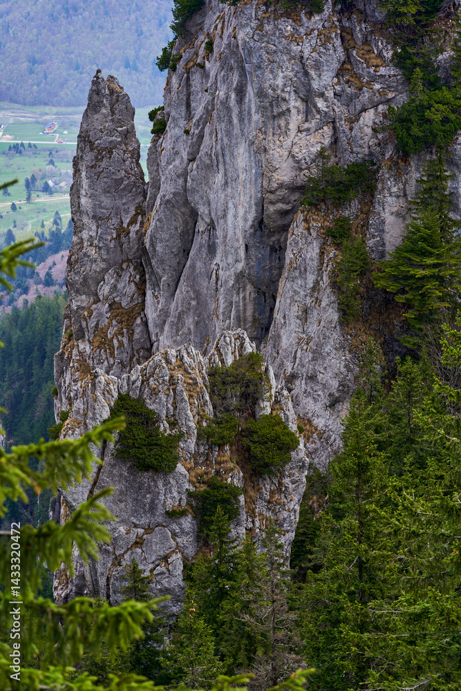 Aerial view of sharp limestone spires in alpine forest