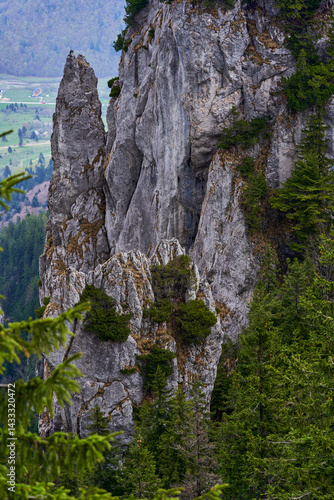 Obraz na płótnie Aerial view of sharp limestone spires in alpine forest w salonie