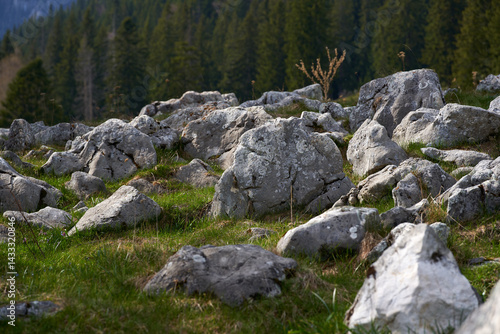 Obraz na płótnie Rocky alpine meadow with forest and distant hills w salonie