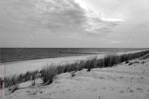 Fototapeta Naklejka Na Ścianę i Meble -  sandy beach and dune on the Baltic Sea on the island of Usedom