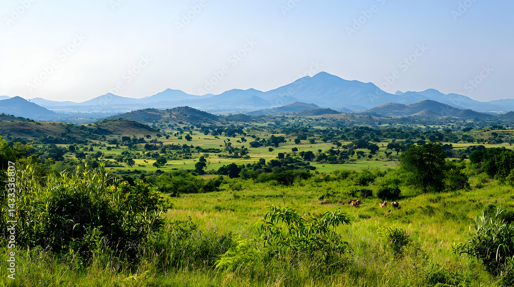 Obraz premium Panoramic View Of Lush Green Valley With Gentle Hills And Cattle