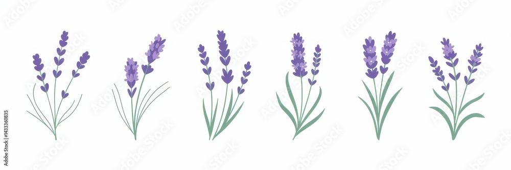 Fototapeta premium Set of stylized lavender sprigs
