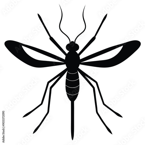 dragonfly vector illustration