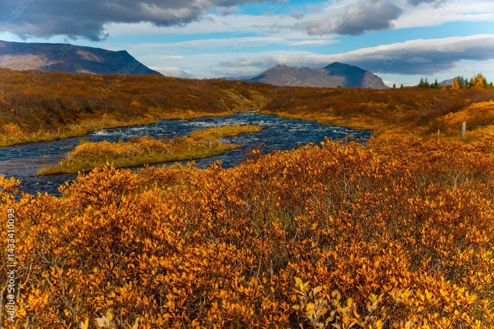 Obraz premium Autumn landscape features a river flowing through a forest filled with vibrant fall foliage in Iceland. The scene includes colorful trees, calm water, and distant mountains under a cloudy sky