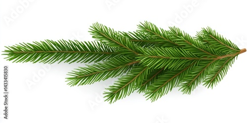 Lush Green Pine Branch Isolated on White Background