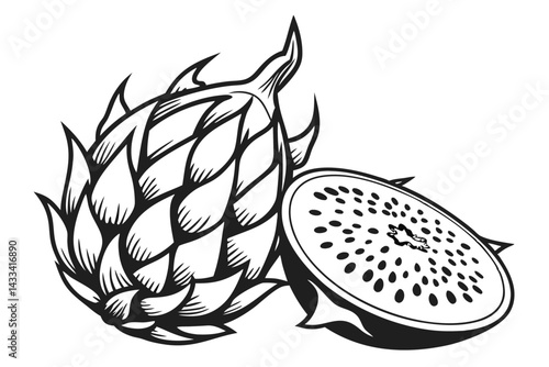 Detailed Black and White of Whole and Cut Dragon Fruit on White