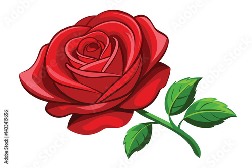 Illustration of Red rose isolated on white.
