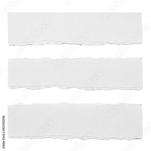 Torn Paper Strips: Three horizontal strips of white paper, each with a naturally torn edge, offering a simple yet versatile design element for various projects.