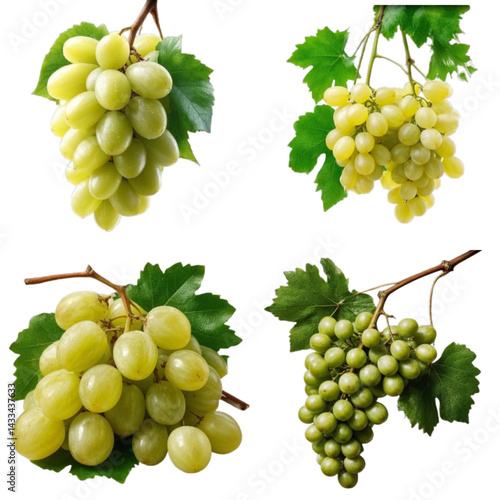 Green grapes assortment on white background with copy space