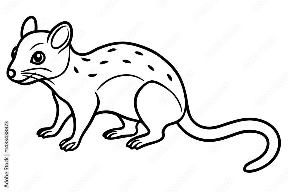 Quoll Silhouette Design Quoll Silhouette Design