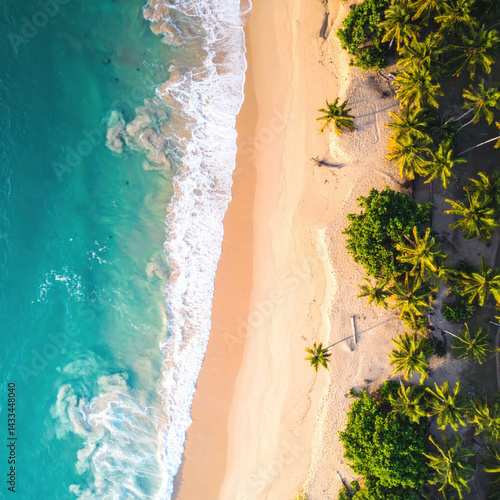 Aerial view of tropical coastline featuring golden sandy beach, turquoise ocean waves, and lush green palm trees under bright sunlight, creating serene and inviting atmosphere