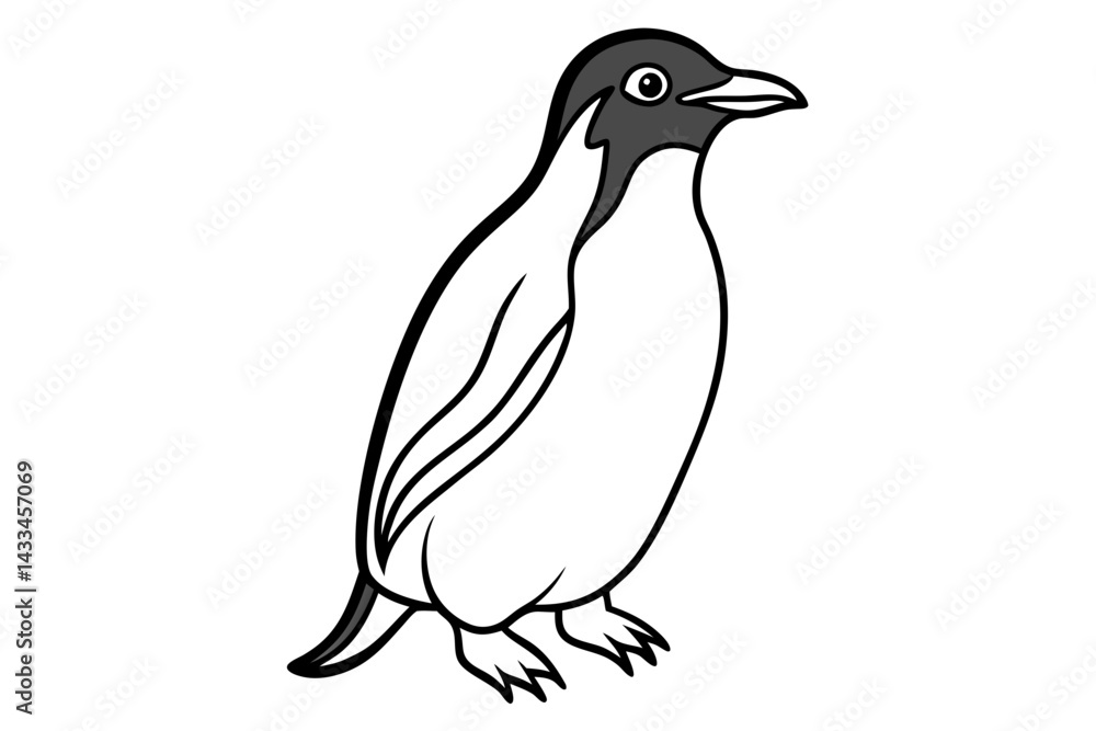 Fototapeta premium Rockhopper Sketch Vector