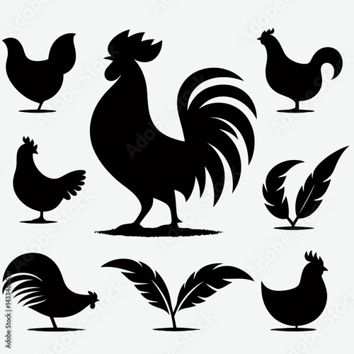  very simple flat and single minimalist Chicken Silhouettes in black on a white background 