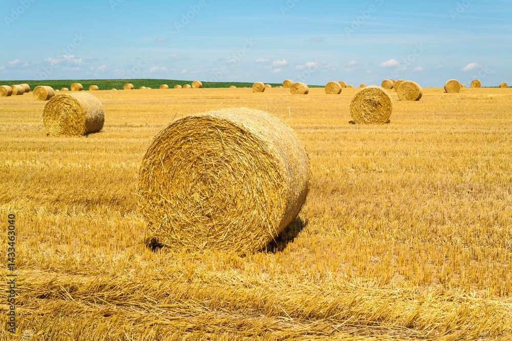 Fototapeta premium Agriculture — Panoramic Harvested Field with Prominent Foreground Hay Bale Under Sunny Sky