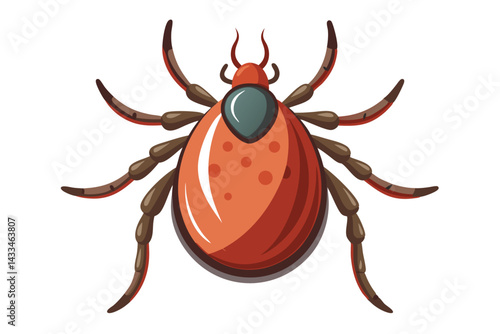 Illustration of tick animal on white.