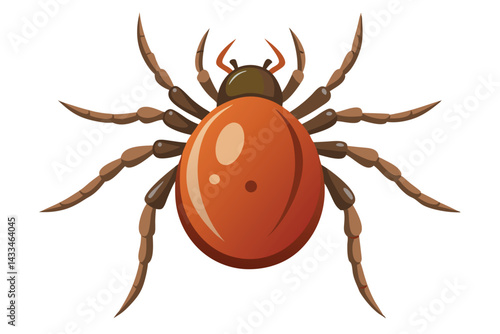 Illustration of tick animal on white.